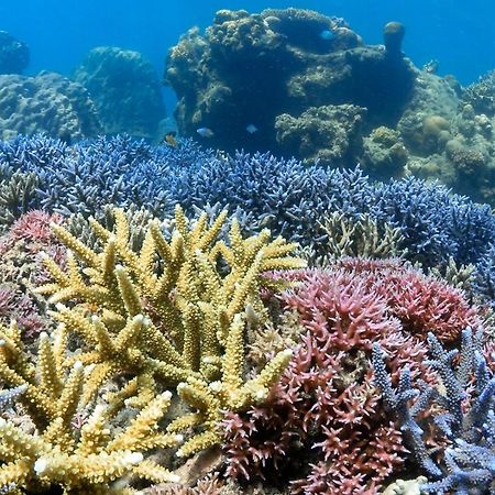 Alam Karang Hotel Gili Gede Luaran gambar
